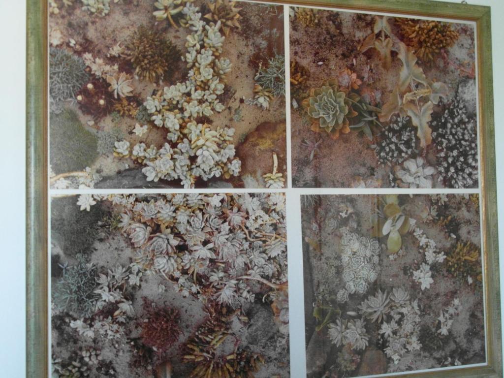 Abitazione Pigneto B&B ローマ 部屋 写真